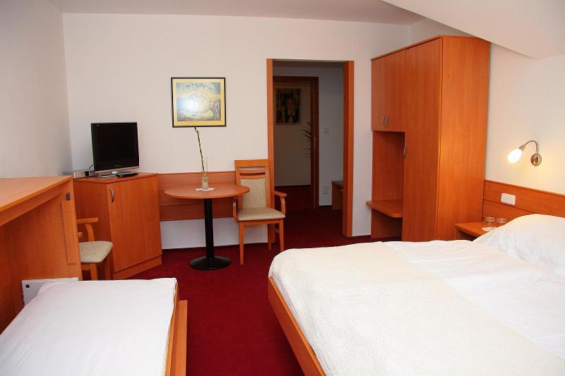Penzion Bocheta Novy Jicin Room photo